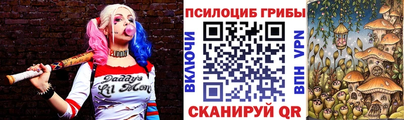 цены наркотик  Камышин  Псилоцибиновые грибы мухоморы 